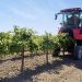 State support helped to purchase special machinery and equipment for viticulture for Stavropol farmers