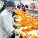 Carrot farm in export season