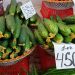 The authorities of the Stavropol region explained the reasons for the sharp rise in prices for cucumbers