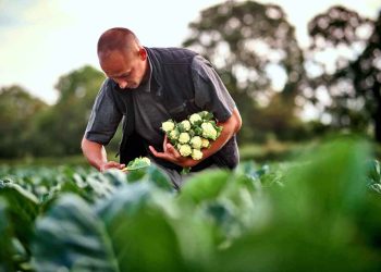 Arava Open Day 2023-The largest agricultural exhibition in Israel