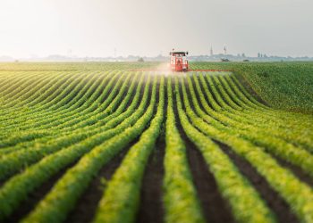 How Agritech is Revolutionizing Farming Practices Around the World