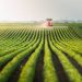 How Agritech is Revolutionizing Farming Practices Around the World