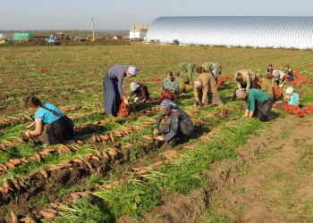 Foreign workers in 2023: what quotas