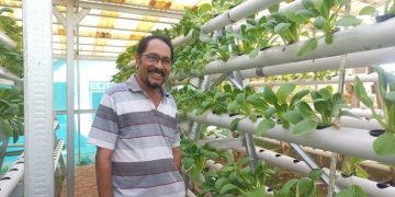 Filling free time in retirement, Mahulette earns millions of Rupiah from hydroponic vegetables