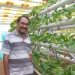 Filling free time in retirement, Mahulette earns millions of Rupiah from hydroponic vegetables