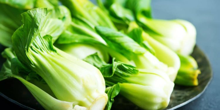 The Asian cabbage species that has conquered Spain