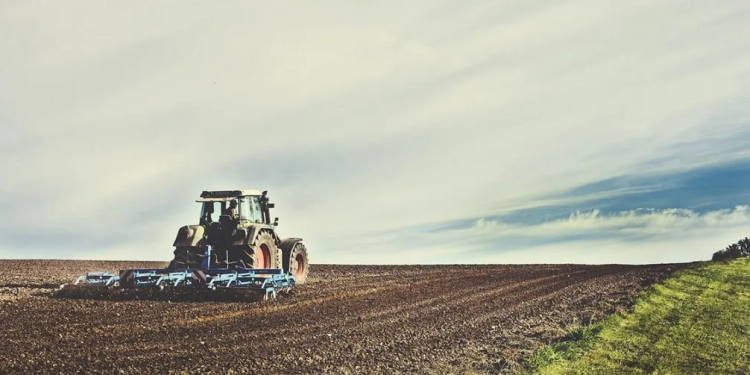 The European fruit and vegetable trade, resilient in the face of Brexit and the pandemic