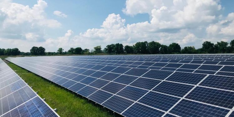 Benefits of Agrivoltaics for Sustainable Agriculture