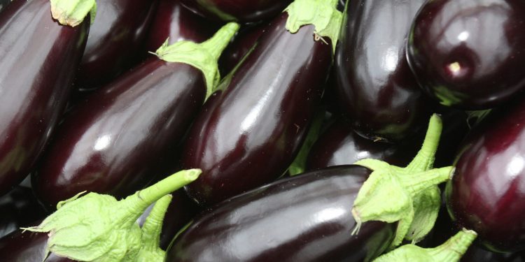 Field Robots Revolutionize Agriculture: The Revolutionary Radish-Harvesting Robot That Saves 50% on Costs