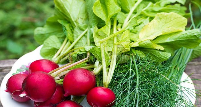 Eating Fresh and Green: A Guide to Seasonal Vegetables