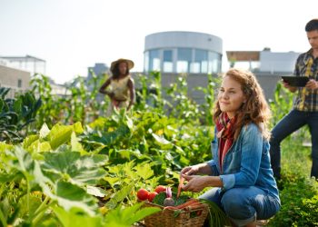 Vegetables News App Now Available in All Languages