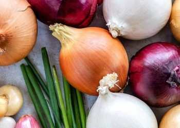 Exploring the Causes and Solutions for the 17.2% Decrease in Gross Seed Onion Yield