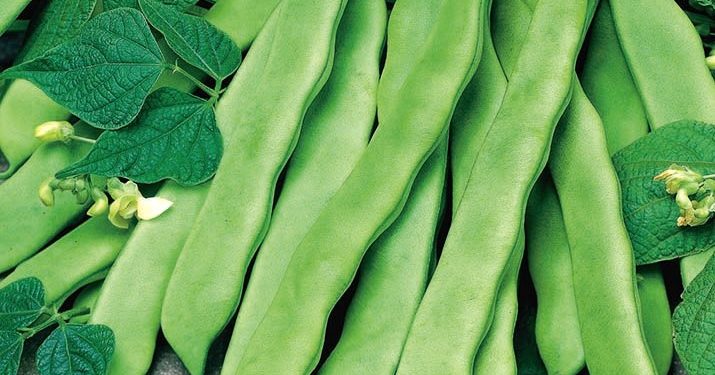 Expert recommends 22 vegetables worth planting in 2023 to help you achieve success