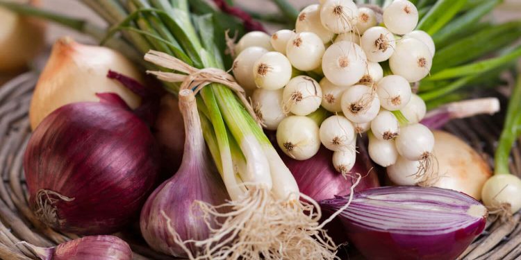 Onion Crisis in India: Understanding the Impact on Farmers and Agriculture