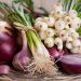 Onion Crisis in India: Understanding the Impact on Farmers and Agriculture