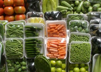 #MiniatureVegetables: Tips and Tricks for a Successful Garden