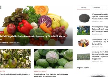 From Seed to Plate: The Latest Vegetable News from Around the World