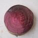 BlacklegFungusOutbreak: Understanding Phoma Lingam and its Impact on Agriculture
