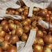 Exploring Australia’s NW Onion Facilities: Insights into Sustainable Agriculture Practices