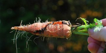 CrackingTheCode: Understanding the Art of Hacking