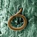 Root-Knot Nematodes: A Silent Killer of Your Crops