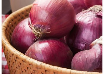 Unveiling the Power of Copper: Nurturing Healthy Plants for Bountiful Harvests