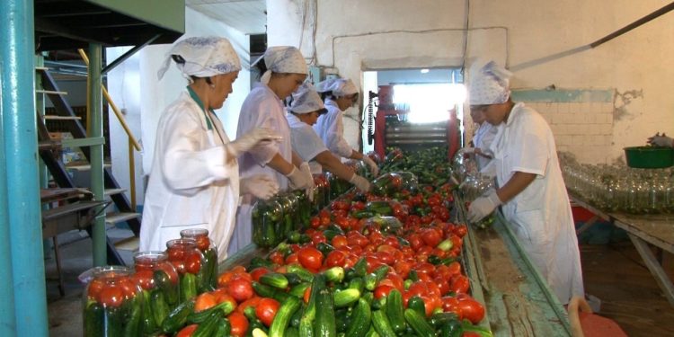 Fruit and Vegetable Processing Equipment Market Trends: Market Share and Consequences of Development