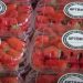 Sevastopol’s “Artvin” Harvests Strawberries and Expands Production