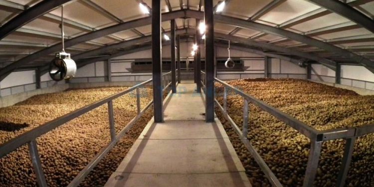 Without Professional Storage Facilities, It is Impossible to Organize a Full Cycle of Vegetable Processing