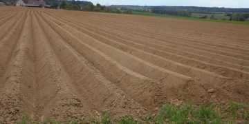 Borozdy Pod Lineyku: A Revolutionary Technique in Agriculture