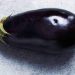 The Importance of Trace Elements in Eggplant Production