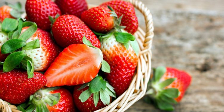 Moscow Strawberry Festival Opens with Over 150 Points of Sale