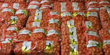 Navigating Challenges: Understanding the Factors Behind a 10% Decline in Onion Exports