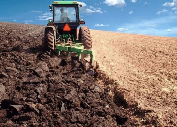 Optimizing Farm Work Planning with Field-Specific Hourly Weather Forecast