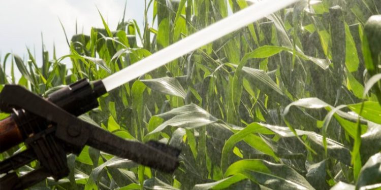 Harnessing Innovative Technologies to Mitigate the Impact of Drought on Agricultural Practices