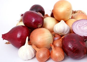 Antimony-Free Agriculture: Protecting Onion Crops and the Environment