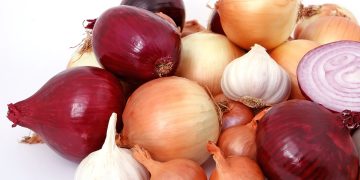 Antimony-Free Agriculture: Protecting Onion Crops and the Environment