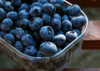 Dried Blueberries Market: Growing Demand and Health Benefits Drive Industry Expansion