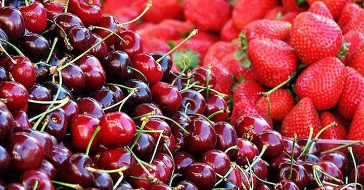 Increase in Cherry and Strawberry Sales in Russia: Insights from an Agronomist