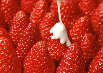 Unlocking the Potential: Enhancing Flavor and Variety in Strawberry Cultivation