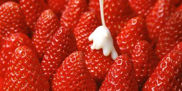 Unlocking the Potential: Enhancing Flavor and Variety in Strawberry Cultivation