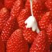 Unlocking the Potential: Enhancing Flavor and Variety in Strawberry Cultivation