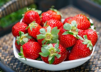 Hungry Year Ahead: Strawberry Producers Reveal What Awaits Us in the Fall
