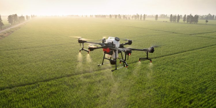 From Drones to Locusts: Modern Farming Transforming China’s Agricultural Landscape