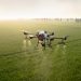 From Drones to Locusts: Modern Farming Transforming China’s Agricultural Landscape