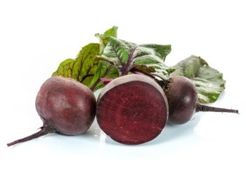 Sugar Beet Protection: DLF Beet Seed’s Plant Breeding Secures Stronger Beet Plants