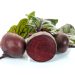 Sugar Beet Protection: DLF Beet Seed’s Plant Breeding Secures Stronger Beet Plants