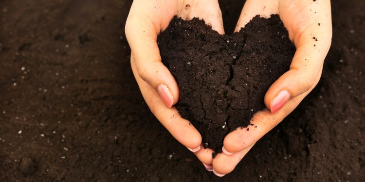 Optimizing Sustainable and High-Efficiency Agriculture: Nagoya University’s “Artificial Soil” Startup