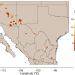 Revolutionizing Grapevine Disease Management: Unveiling a Potential Breakthrough