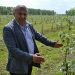 Orchards are being revived in the Ryazan region